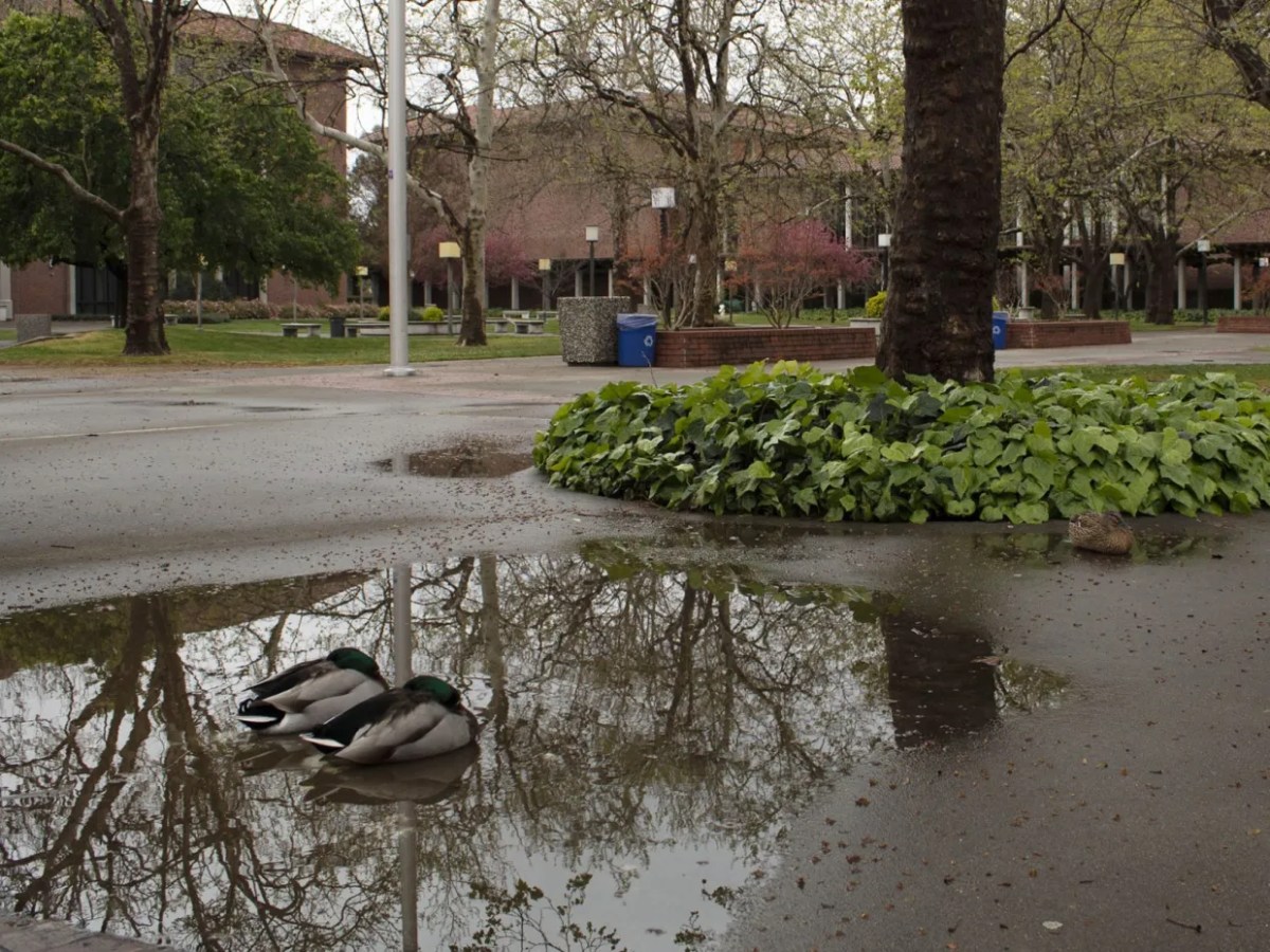 COVID-19 offers opportunity to implement longstanding environmental&nbsp;change